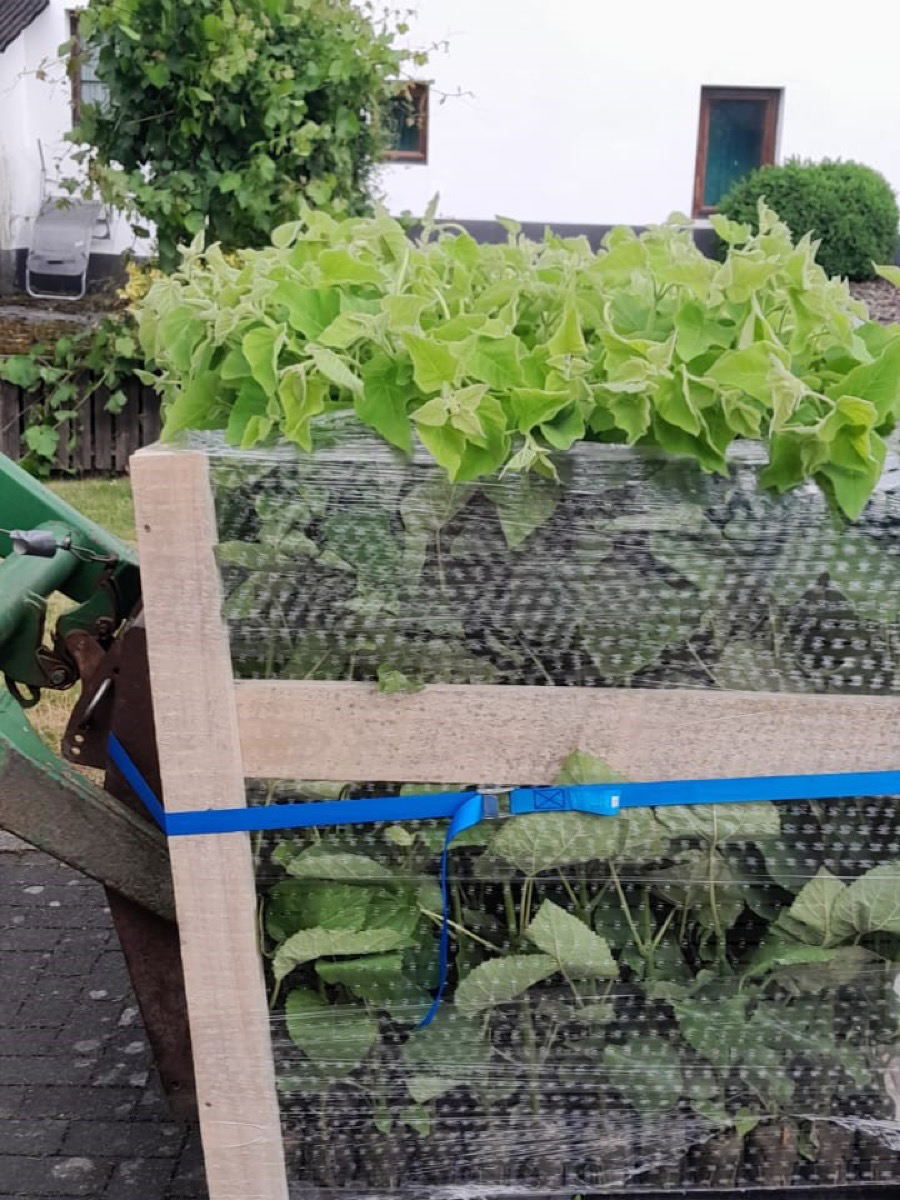 Bild zum Thema Aufmaß & Umsetzung im Rahmen des aktuelles