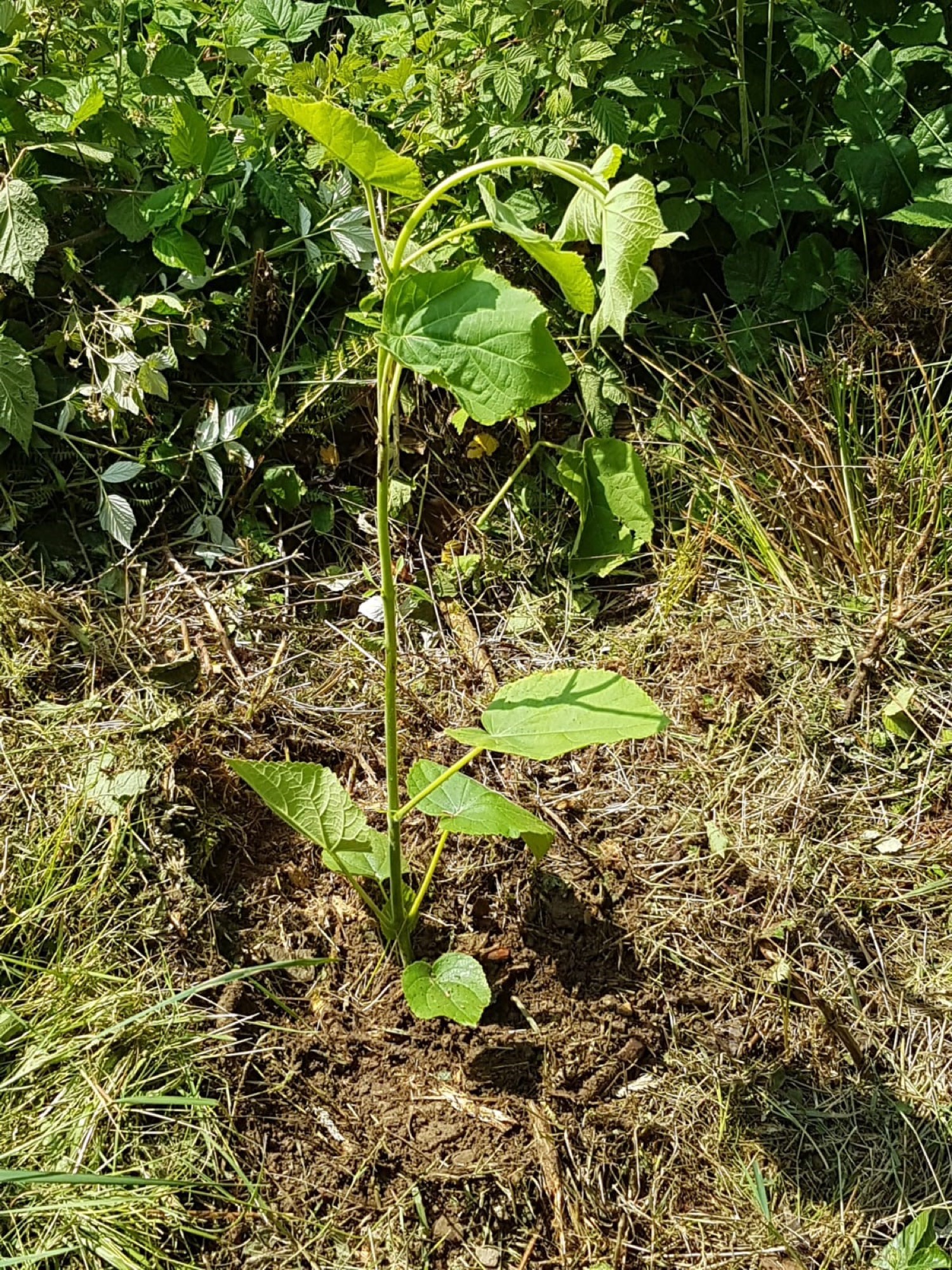 Bild zum Thema Analyse im Rahmen des aktuelles